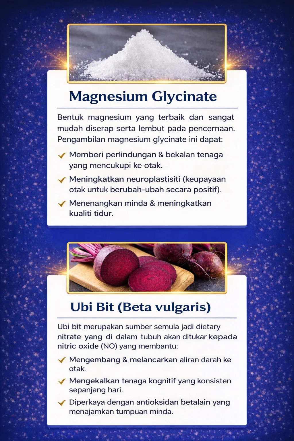 Nutrisi Mindtropic 4